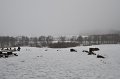 December2009 364